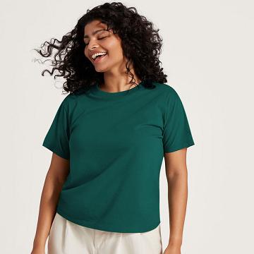 Allbirds Allgood Baumwoll T-shirts Damen Türkis | CH4307GL