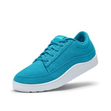Allbirds Canvas Pacers Sneakers Herren Türkis | CH5053SO