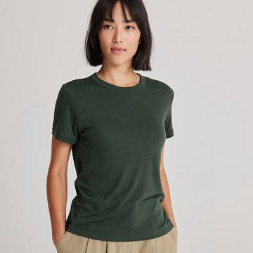 Allbirds Sea T-shirts Damen Grün | CH4317SO