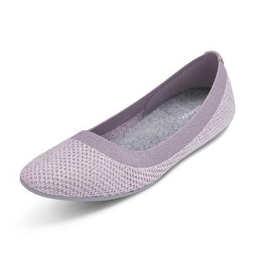 Allbirds Tree Breezers Flache Schuhe Damen Lila | CH4389KI