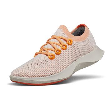 Allbirds Tree Dasher 1 Laufschuhe Damen Rosa Grau | CH4472DN