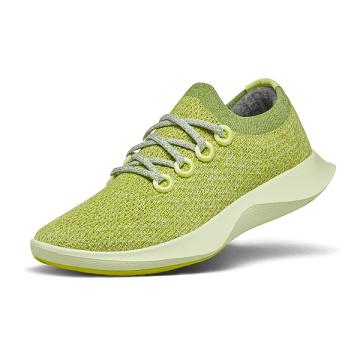 Allbirds Tree Dasher 1 Laufschuhe Damen Grün | CH4473SO