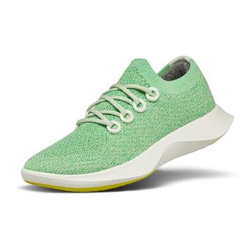Allbirds Tree Dasher 1 Laufschuhe Herren Mintfarben | CH4882GL