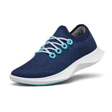 Allbirds Tree Dasher 1 Laufschuhe Herren Blau Weiß | CH4890UT