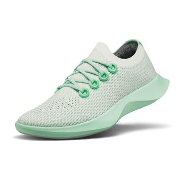 Allbirds Tree Dasher 1 Laufschuhe Herren Weiß Grün | CH4893RW