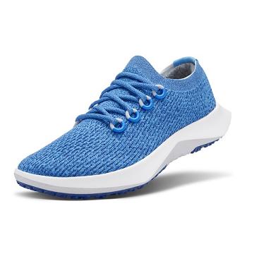 Allbirds Tree Dasher 2 Laufschuhe Damen Blau | CH4439ZG
