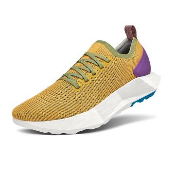 Allbirds Tree Flyers Laufschuhe Damen Gold | CH4451OR