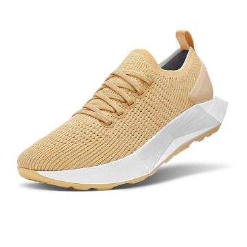 Allbirds Tree Flyers Laufschuhe Damen Khaki | CH4448SO