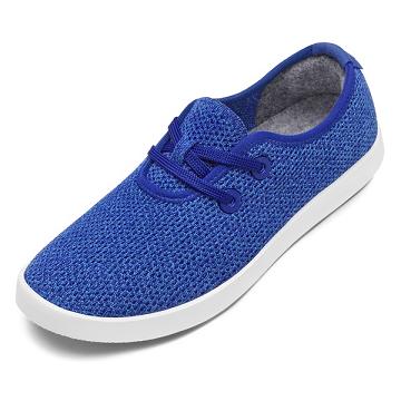 Allbirds Tree Skippers Sneakers Herren Blau | CH5041YU