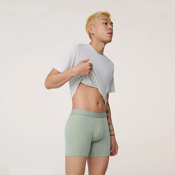 Allbirds Trino® Boxer Brief Unterwäsche Herren Grün | CH4781HK