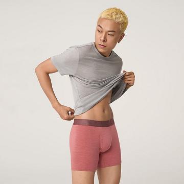 Allbirds Trino® Boxer Brief Unterwäsche Herren Rot | CH4782GL