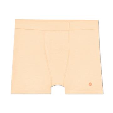 Allbirds Trino® Boxer Brief Unterwäsche Herren Braun | CH4783FM