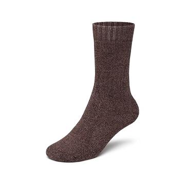 Allbirds Trino® Cozy Crew Socken Damen Rot | CH4265SO