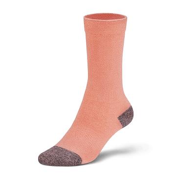 Allbirds Trino® Tubers Socken Damen Orange | CH4262GL