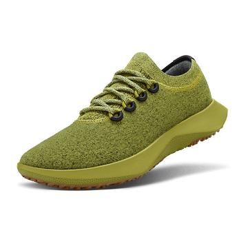 Allbirds Wolle Dasher Mizzles Wasserdichte Schuhe Damen Grün | CH4349UT