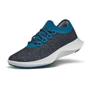 Allbirds Wolle Dasher Mizzles Wasserdichte Schuhe Damen Blau Grau | CH4351TV