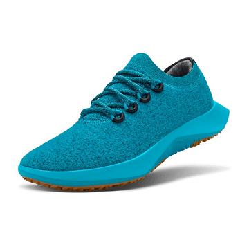 Allbirds Wolle Dasher Mizzles Wasserdichte Schuhe Herren Türkis | CH4804AP